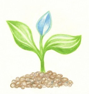 Startersaftrek, ons administratiekantoor begeleidt startende ondernemers.